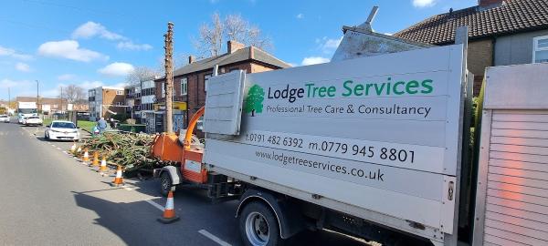 Lodge Tree Services