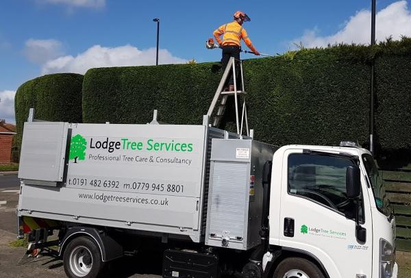 Lodge Tree Services