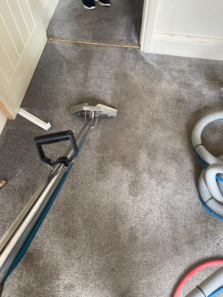 Manor Carpet & Upholstery Cleaning