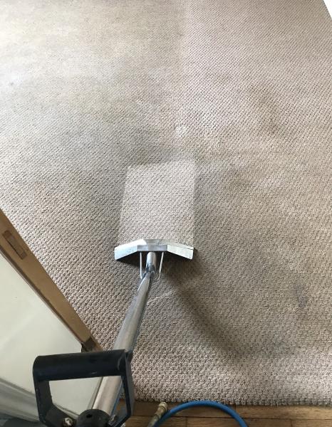 Manor Carpet & Upholstery Cleaning