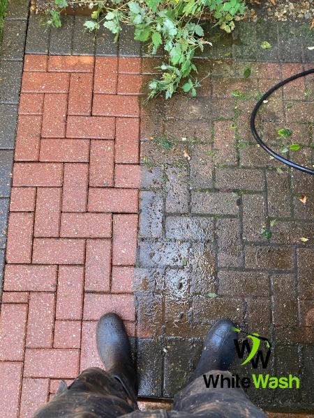 Whitewash Specialist Cleaning Services