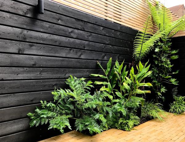 Beaufort & Rampton Landscapes