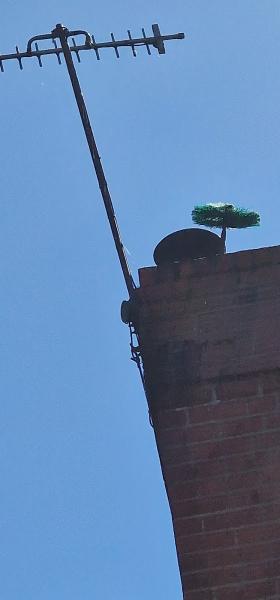 D Reade Chimney Sweep