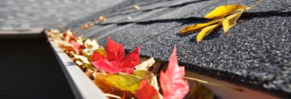 Shepherd Roofing and Slating