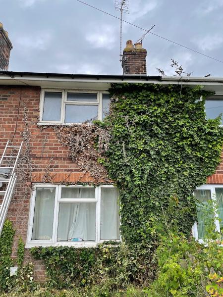 Wrexham Weed Control & Roof Cleaning