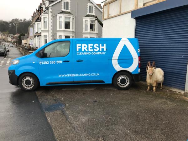 Fresh Cleaning Company