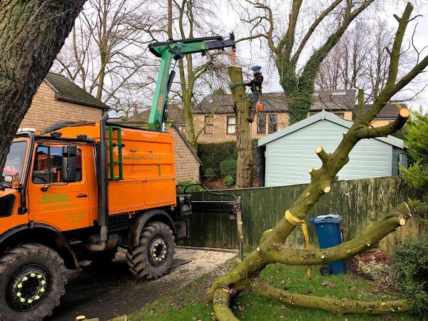 John Gornall Tree Felling Services