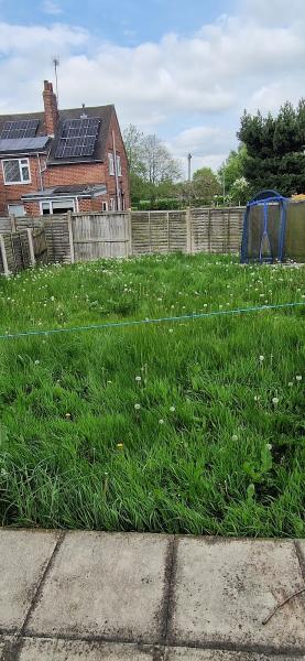 PDA Property & Garden Maintenance