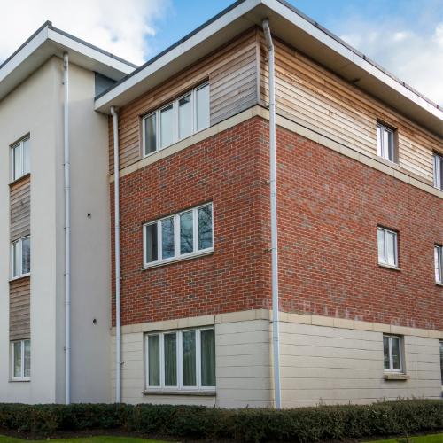 Amadeo Construction LTD