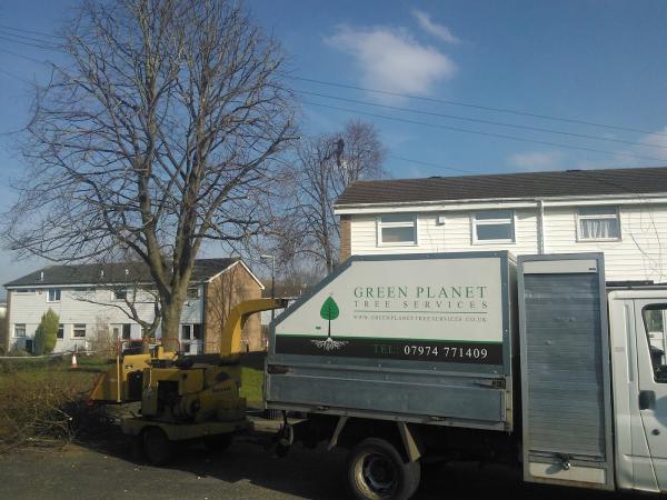 Green Planet Tree Services