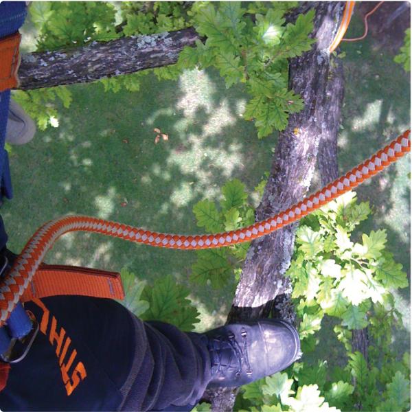 Green Planet Tree Services