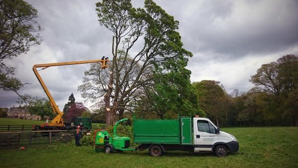 Colin White Tree Surgery Ltd.