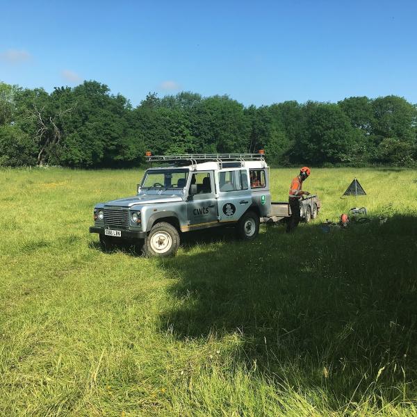 Colin White Tree Surgery Ltd.