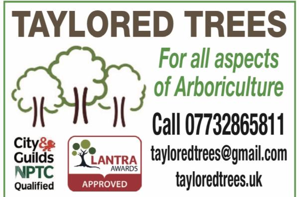 Taylored Trees