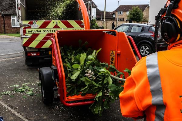 SW Tree Care