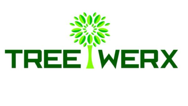 Treewerx Tree Surgeons