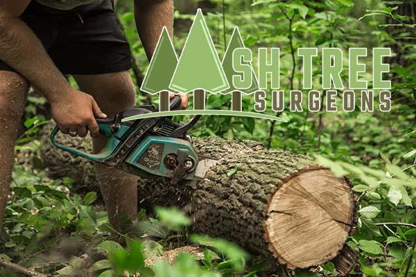 Ash Tree Surgeons