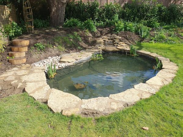 Clearwater Ponds & Landscaping