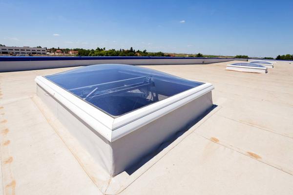 Lion Roofing Somerset