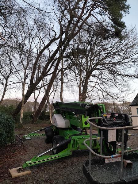 GP Tree Surgeon