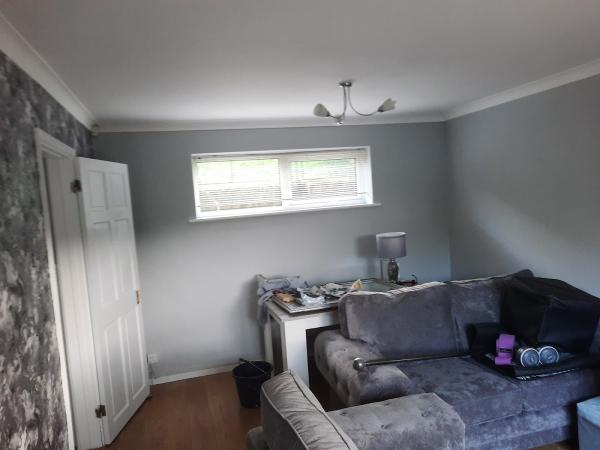 2 Tone Decorating