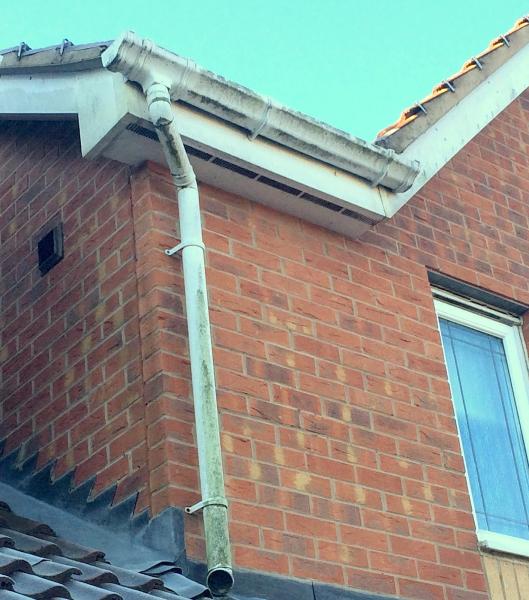 Brailsford Cleaning Services.