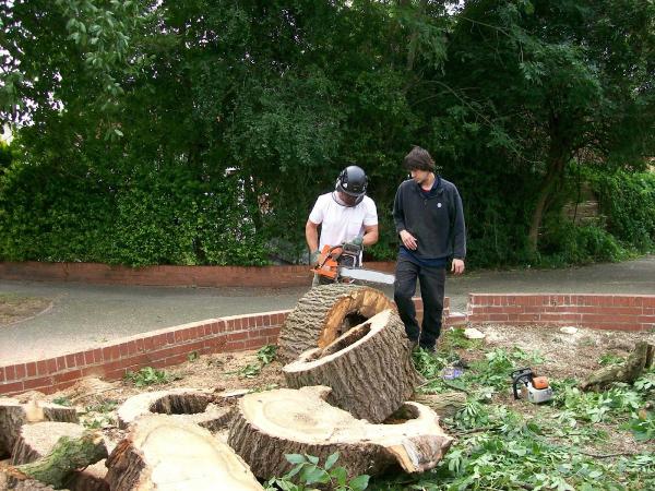 Branchwalker Tree Surgery