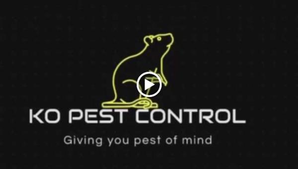 Ko-Pest Control Somerset