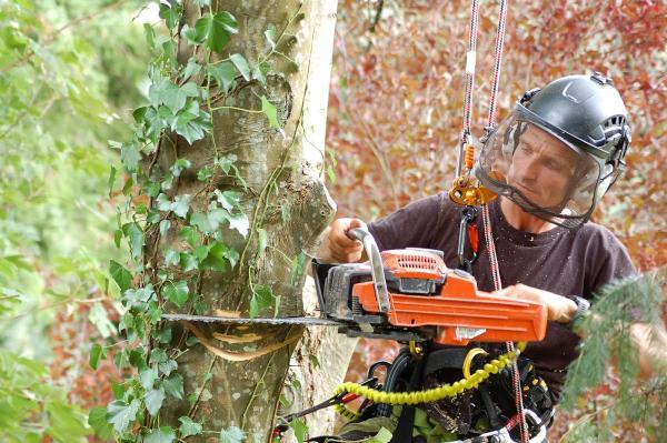 Josm Tree Surgery.