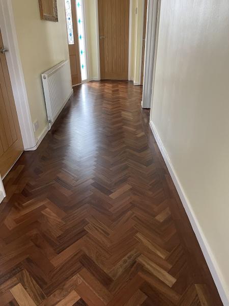 Elite Floor Maintenance Ltd