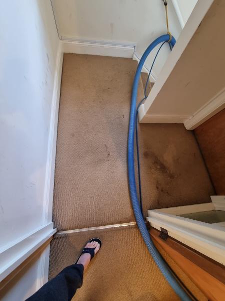 Mycare Carpet Cleaning Bristol