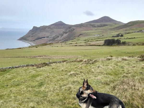 Llyn Eifionydd and Meirionydd Chimney Sweep