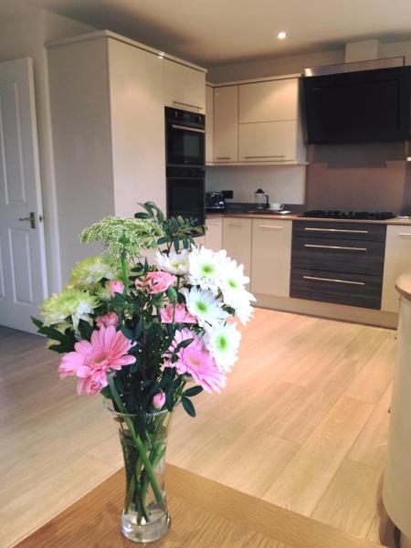 Apley Cleaning Company