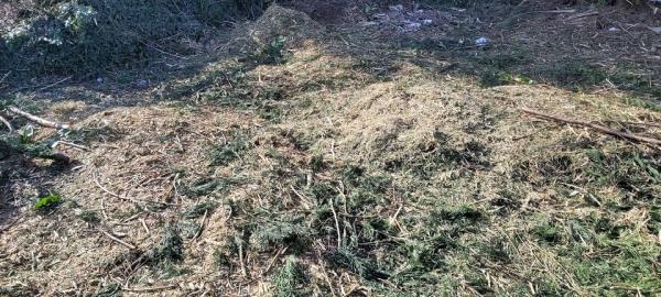 Mega Waste Collection