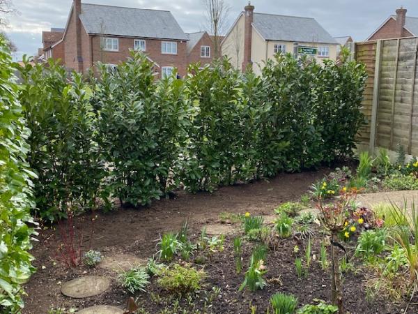 Hislop & Co Horticulture