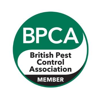 Anglian Pest Control