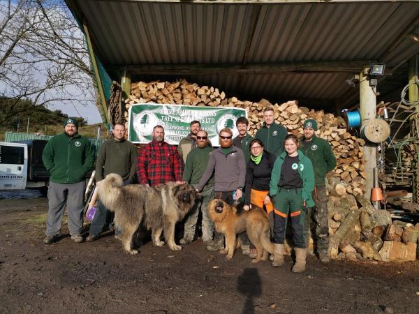 Steve Ambler & Sons Tree Specialists Ltd