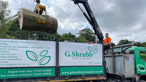 G.shrubb Tree Surgery Limited