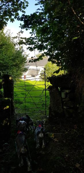 K Hill & Partners Ltd