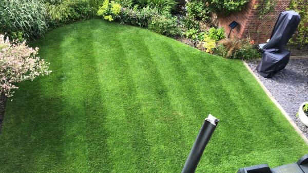Independent Grass Care