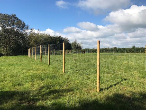 Colin Weeks Forestry and Fencing