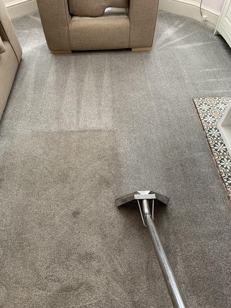 Cleanwright Carpet Cleaning