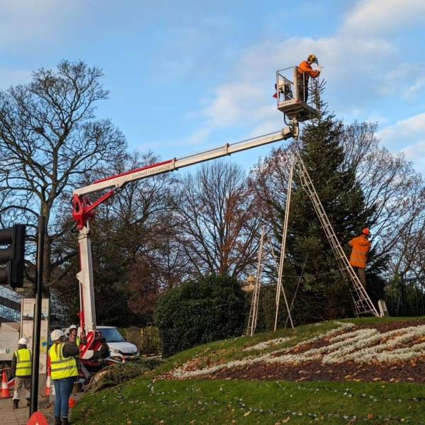 Sheffield Tree Care Ltd