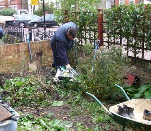 Gardener Oxford