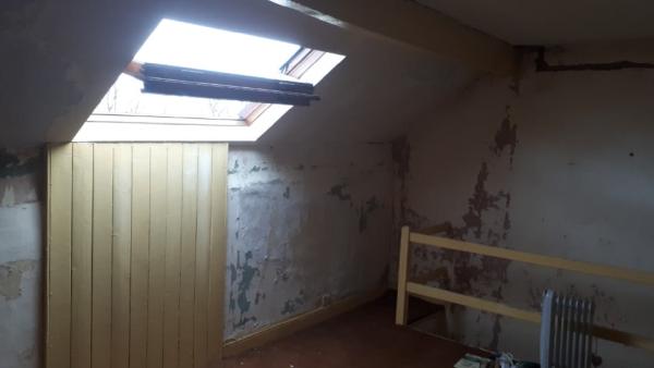 Westfield Plastering