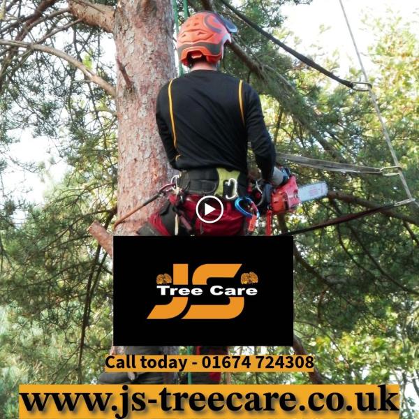 JS Tree Care