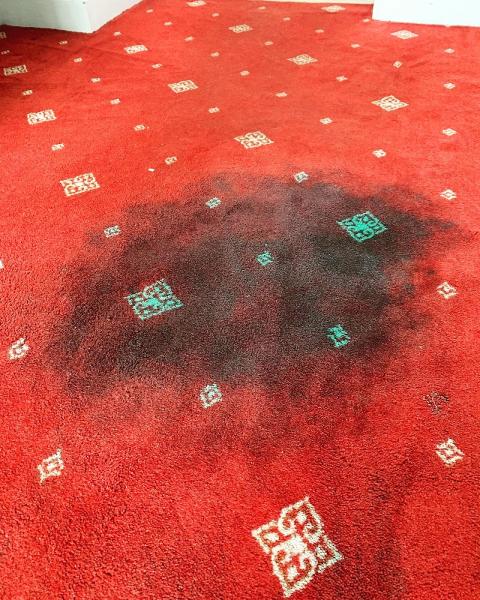 Carpet Cleanse