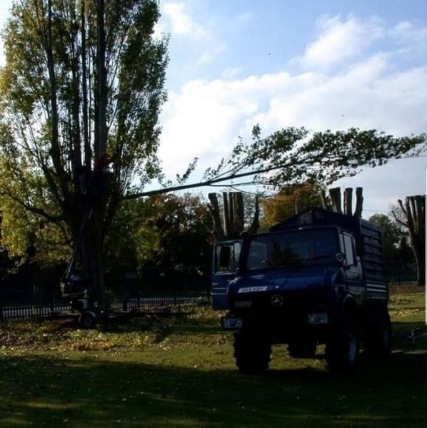 Westbury Tree Services