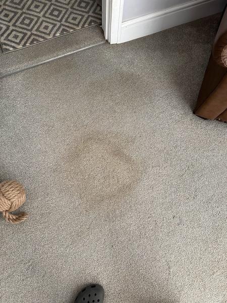Spargo's Carpet Cleaning