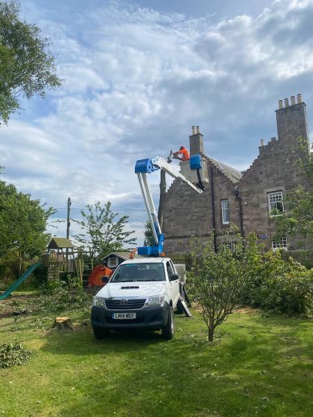 HL Tree Services